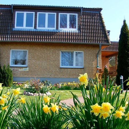 Ferienwohnung Struve Nr 2 Petersdorf auf Fehmarn Ngoại thất bức ảnh